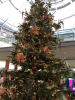 A christmas tree decorated with dinosaurs